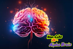 NooCube vs. Alpha Brain 2025: Which Supplement Reigns Supreme
