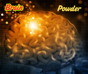 Boost Mental Clarity and Focus with Brain Powder Supplements